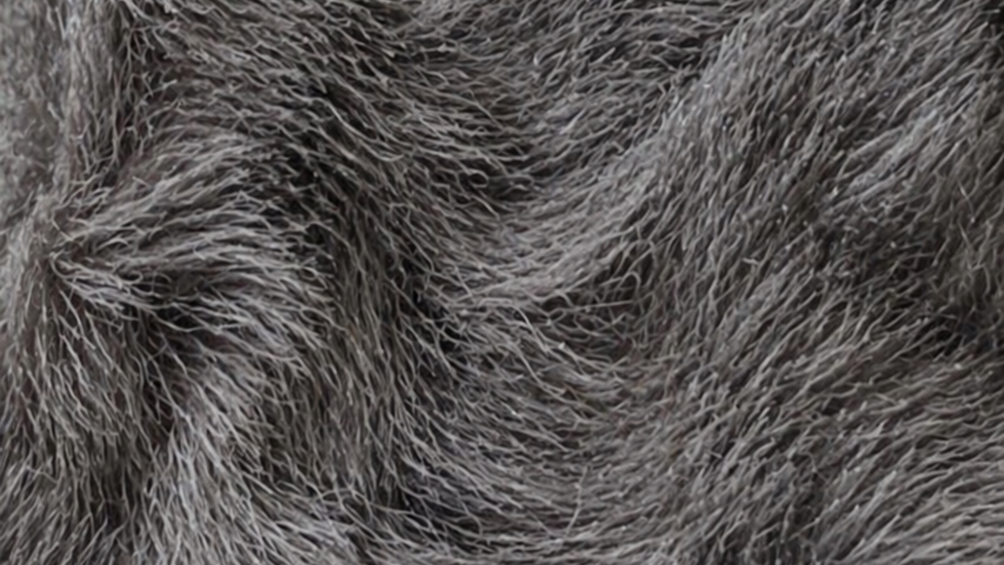 Sheepskin lining in riding boots