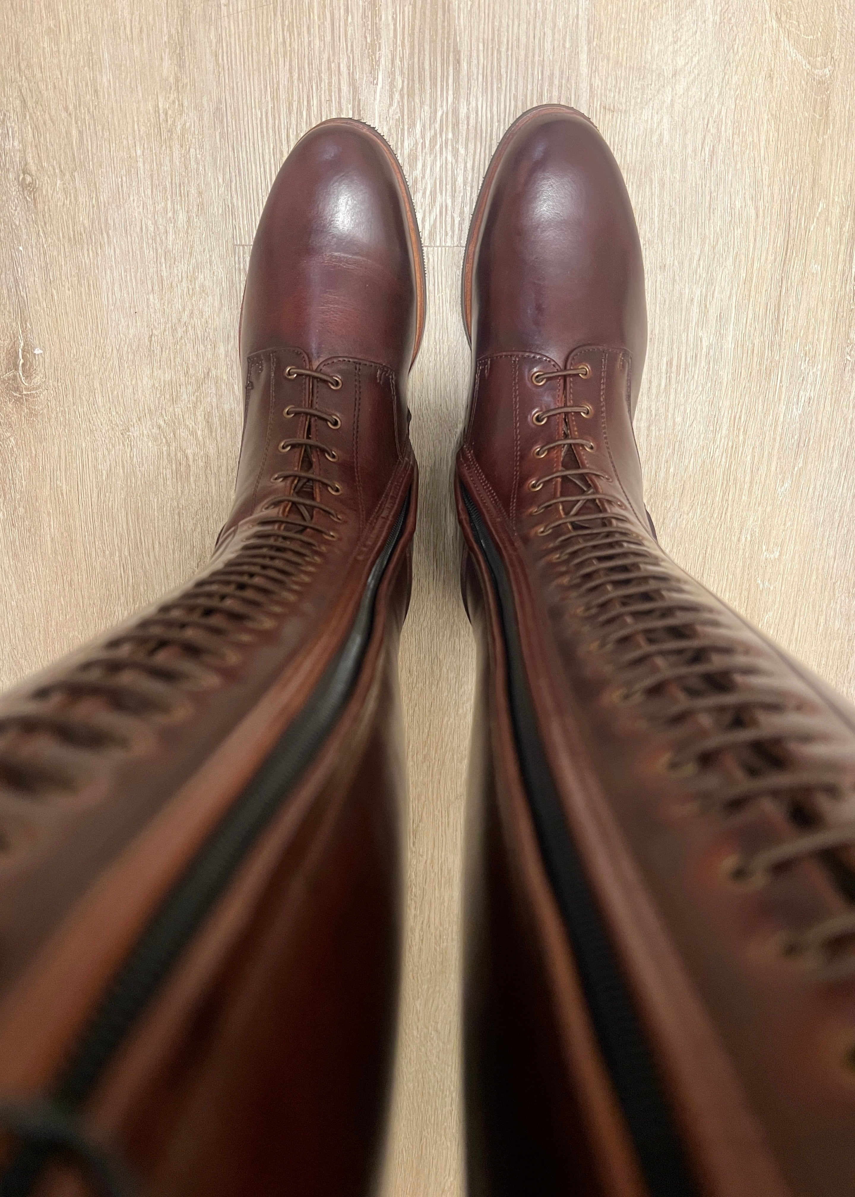 Paulista Seahorse Brown