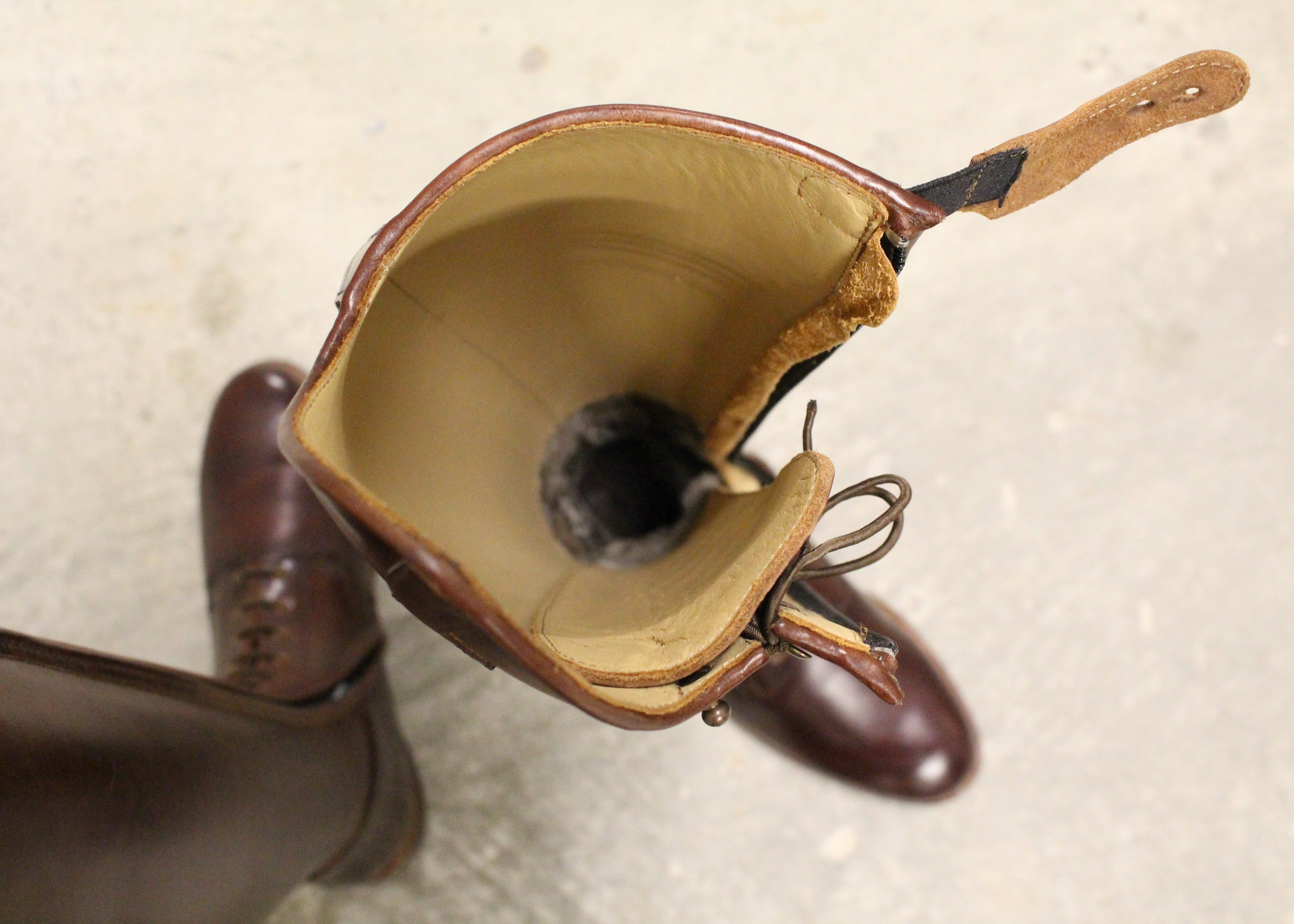 Paulista Seahorse Brown