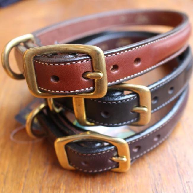 Dog Collar Black with space for a name plate