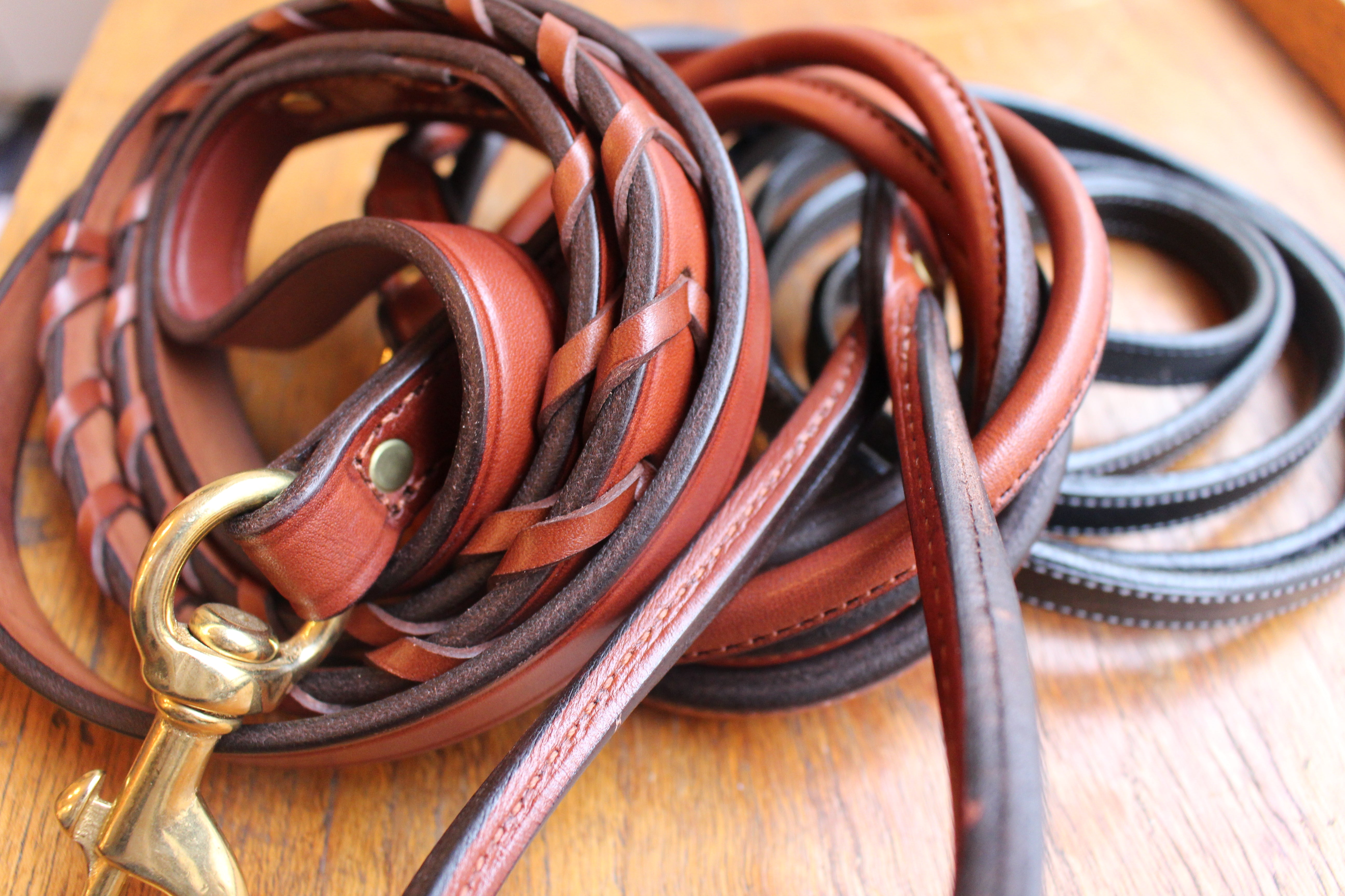 Dog leashes