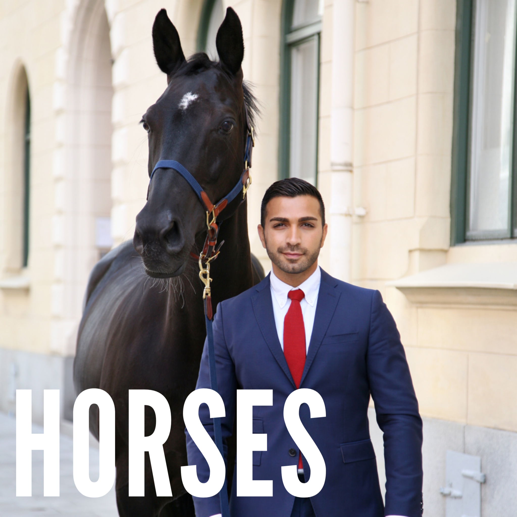 Horses & Dogs