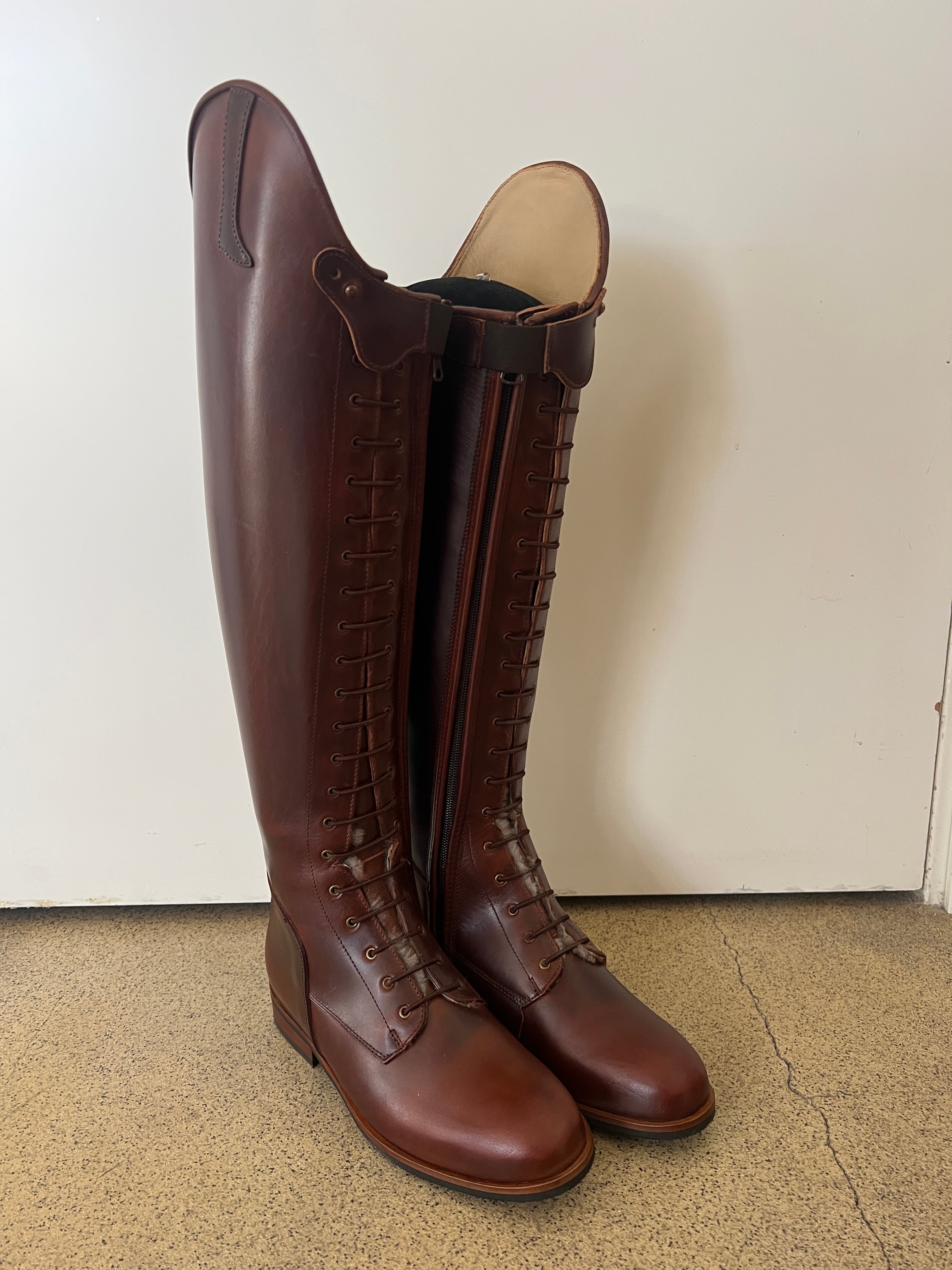 Paulista Seahorse Brown