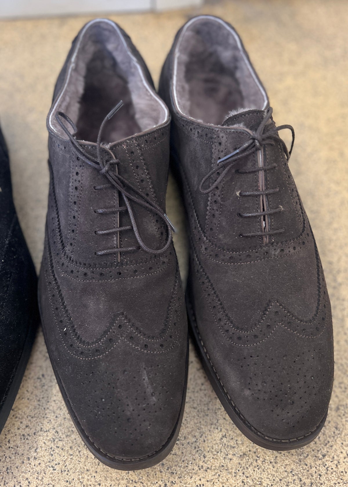 Campino | Black Gloss, Black Suede, Coffee Suede | Size 47-47,5