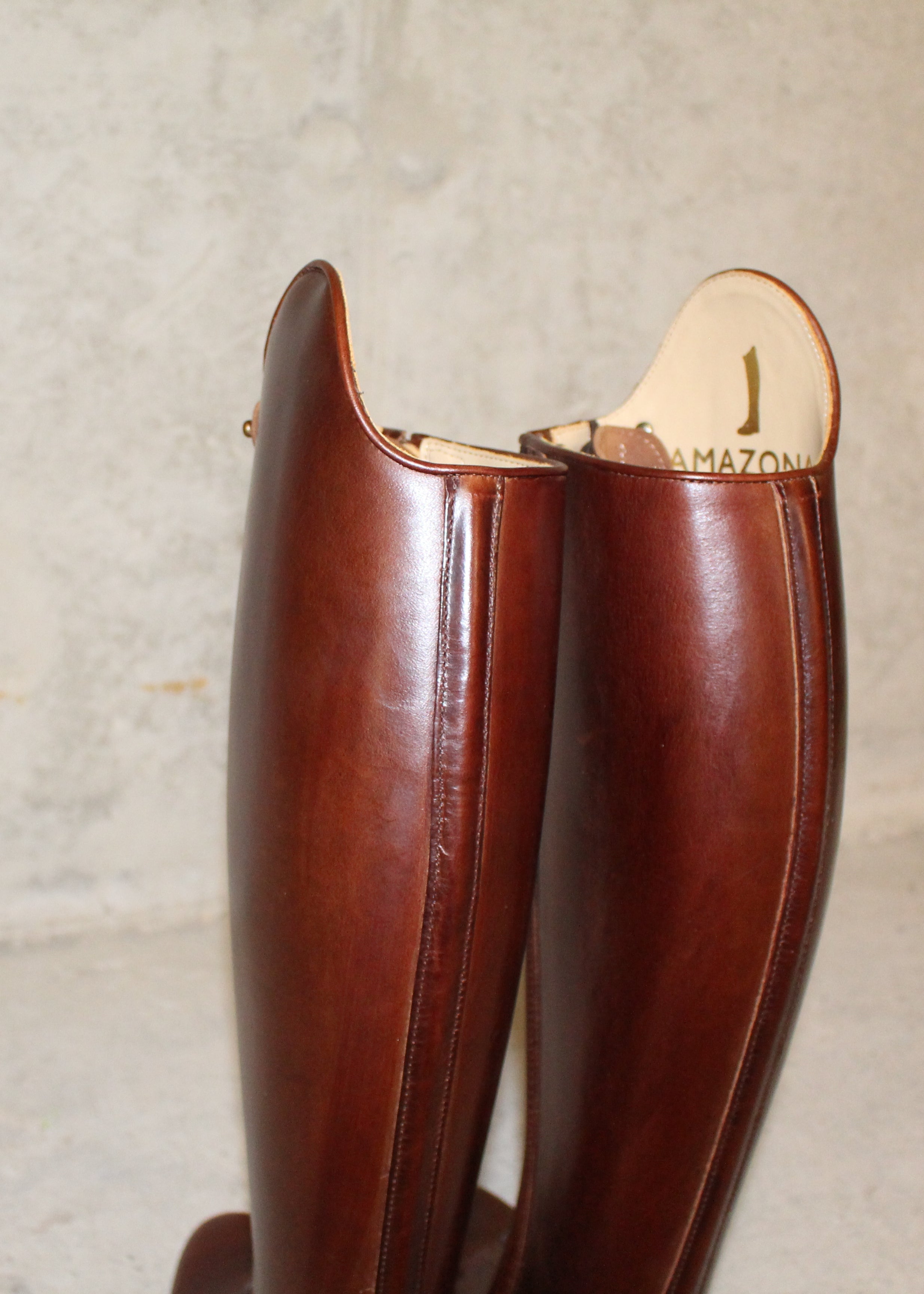 Paulista Seahorse Brown