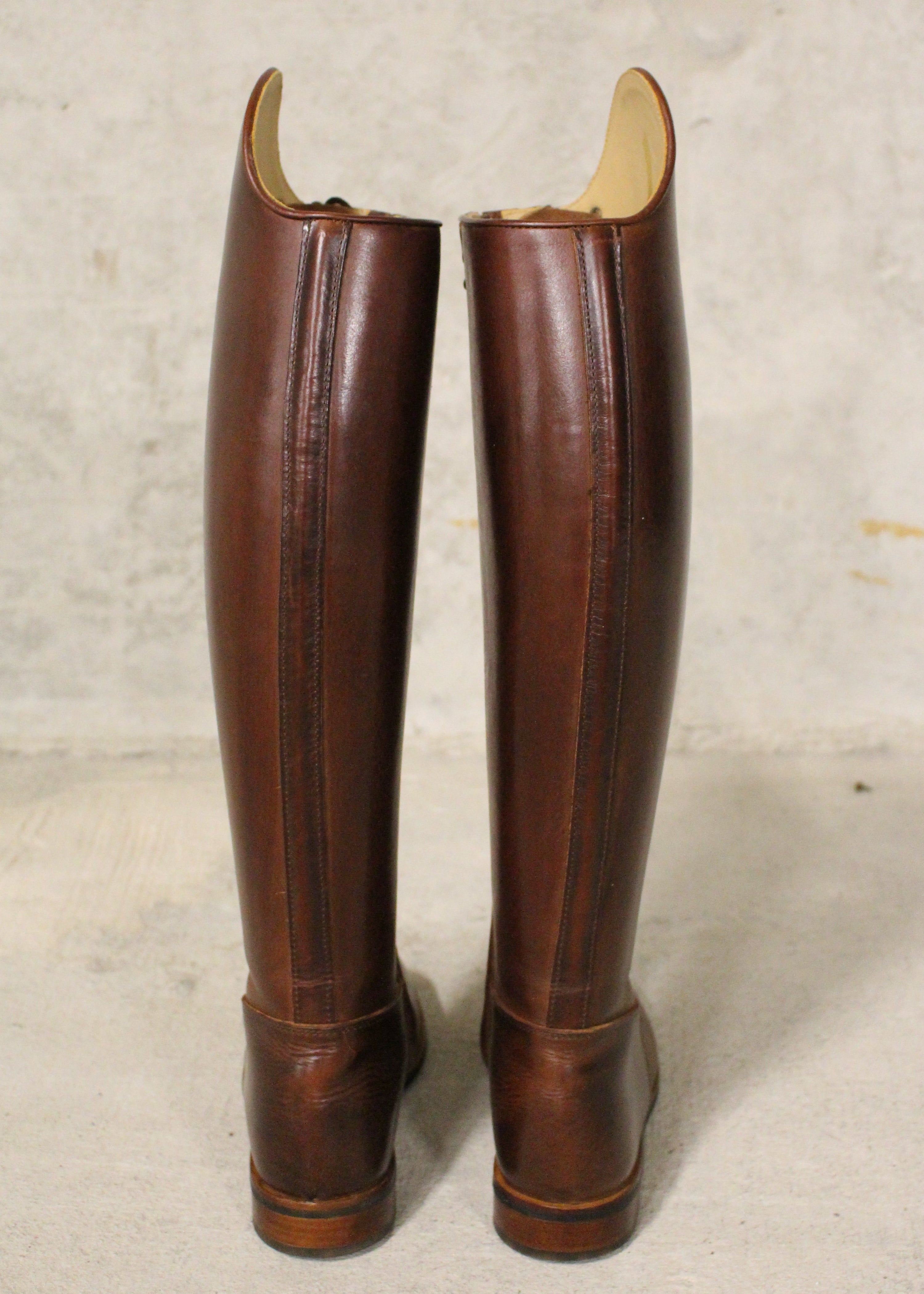 Paulista Seahorse Brown