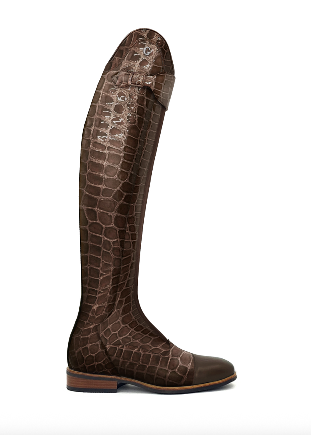 Laurel Polo Reinforced