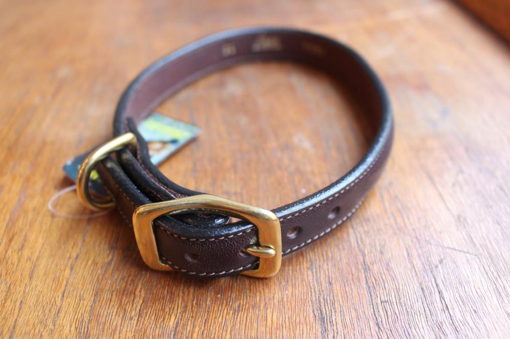 Dog Collar with space for a name plate in Havanna