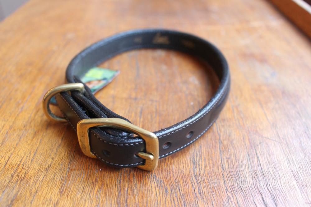 Dog Collar with space for a name plate in Havanna