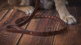 Laced Collar with a flat area for a name plate in Oakbark