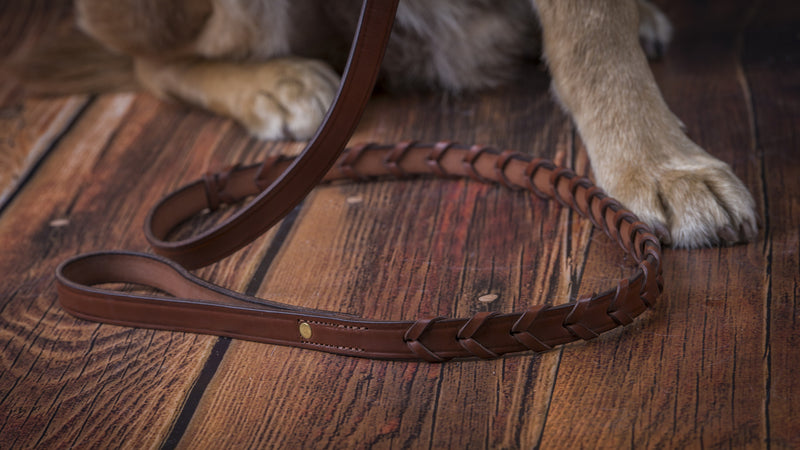 Laced Collar with a flat area for a name plate in Oakbark