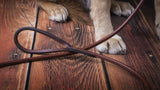 Rolled Leather Dog Leash in Havanna