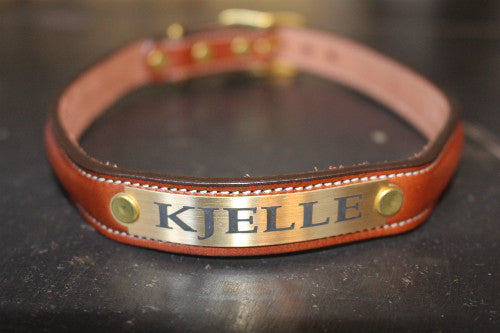 Dog Collar with space for a name plate Oakbark