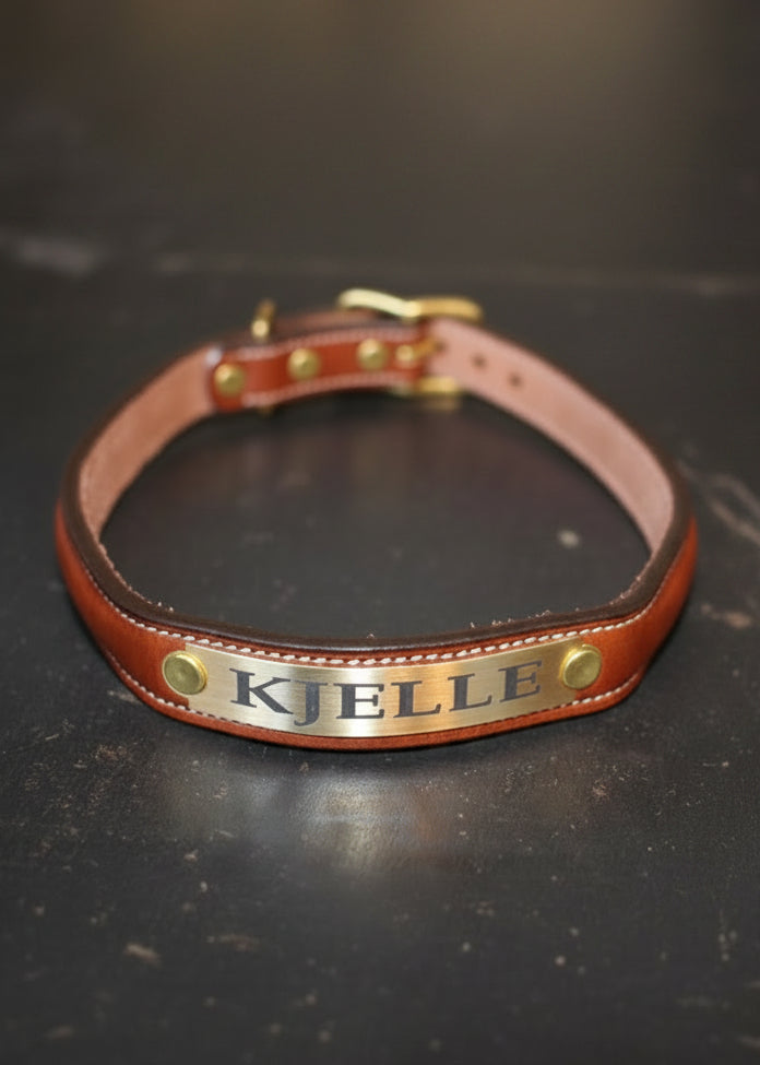Dog Collar | Havanna