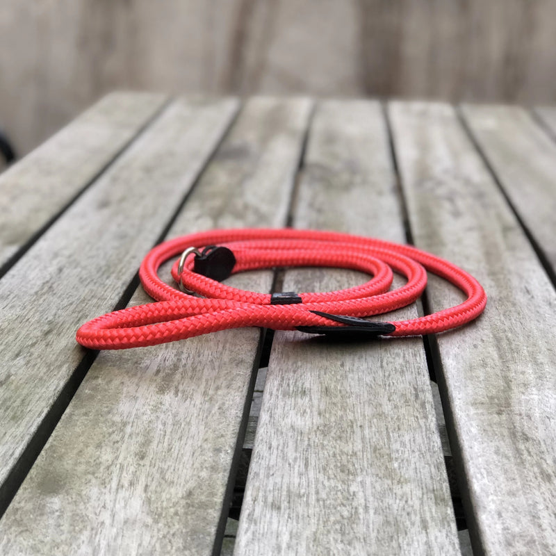 Combined Rope Collar & Leash Red