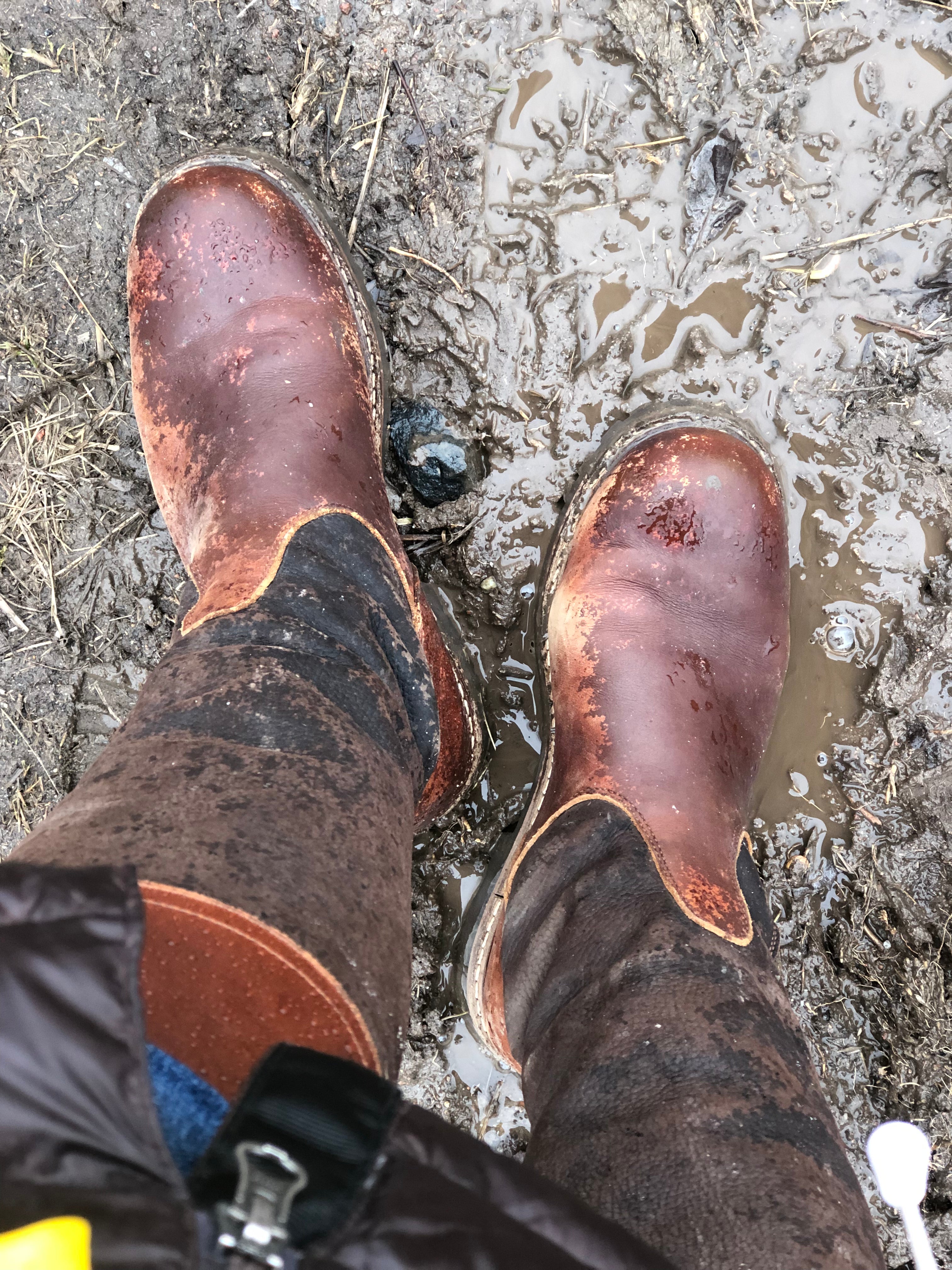 Itu Outdoor Boot - Chestnut