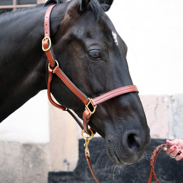 Triple Stitched Halter Black