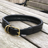 Padded Dog Collar Black