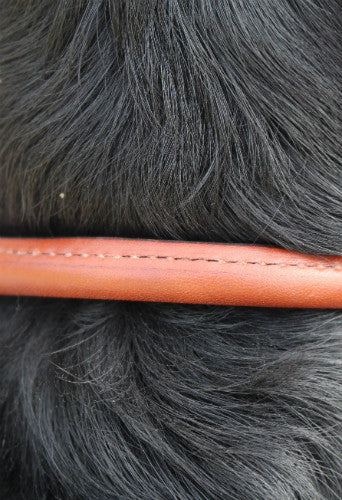 Rolled Dog Collar Black